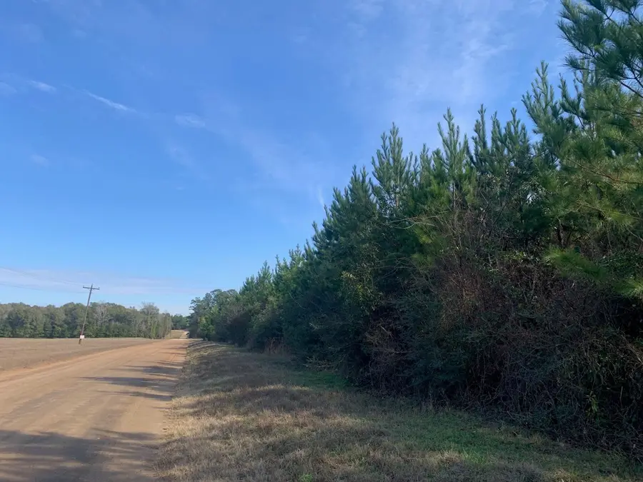 0 Nursery Road, Livingston, TX 77351 - Image #3