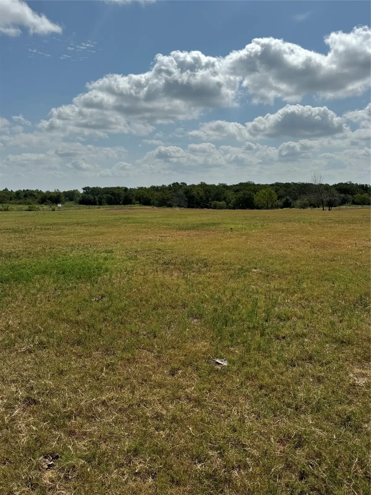 Tract 4 Fm 3060, Midway, TX 75852 - #1