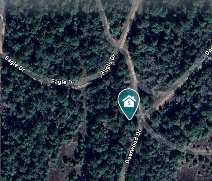 17922 Deerwood Drive, Hempstead, TX 77445 - Image #2