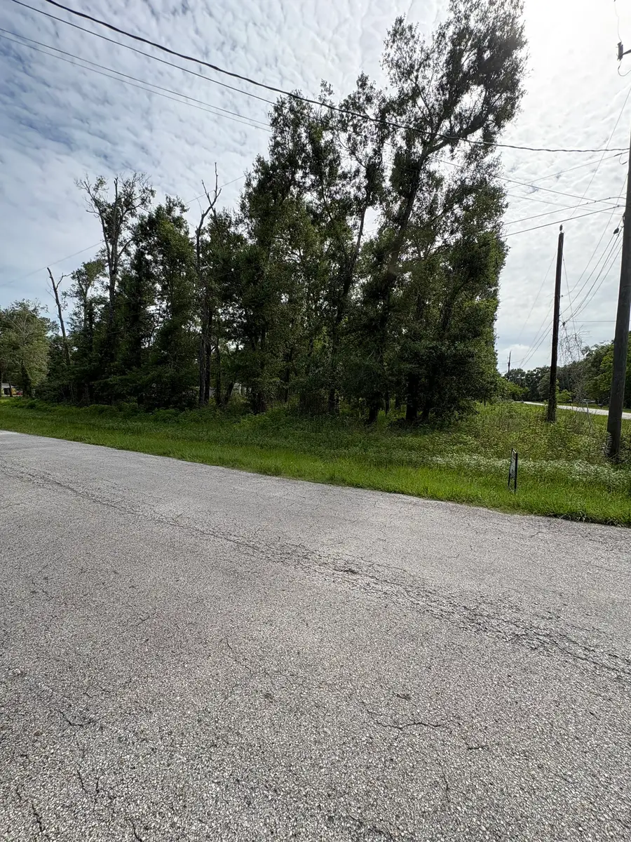 4017 County Road 4006, Dayton, TX 77535 - #2