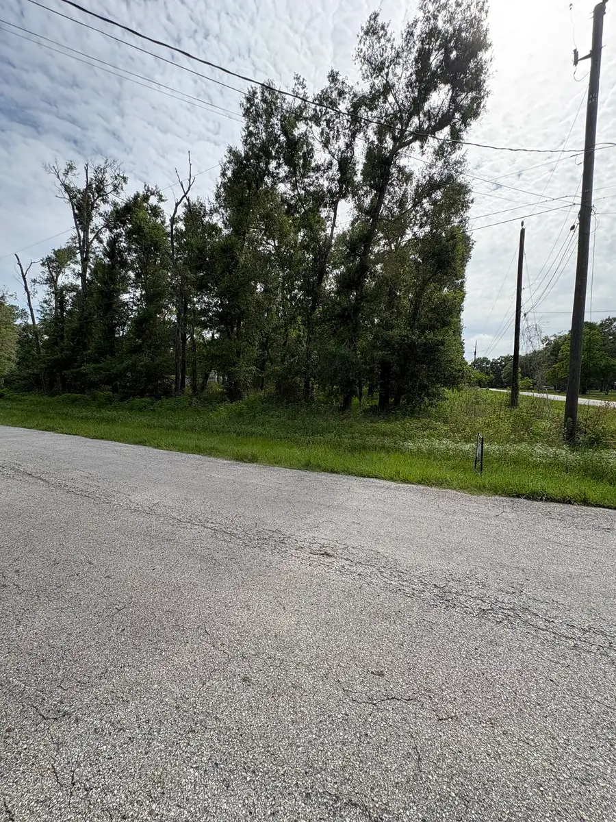 4017 County Road 4006, Dayton, TX 77535 - #3