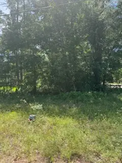 15871 Sycamore Drive, Montgomery, TX 77356