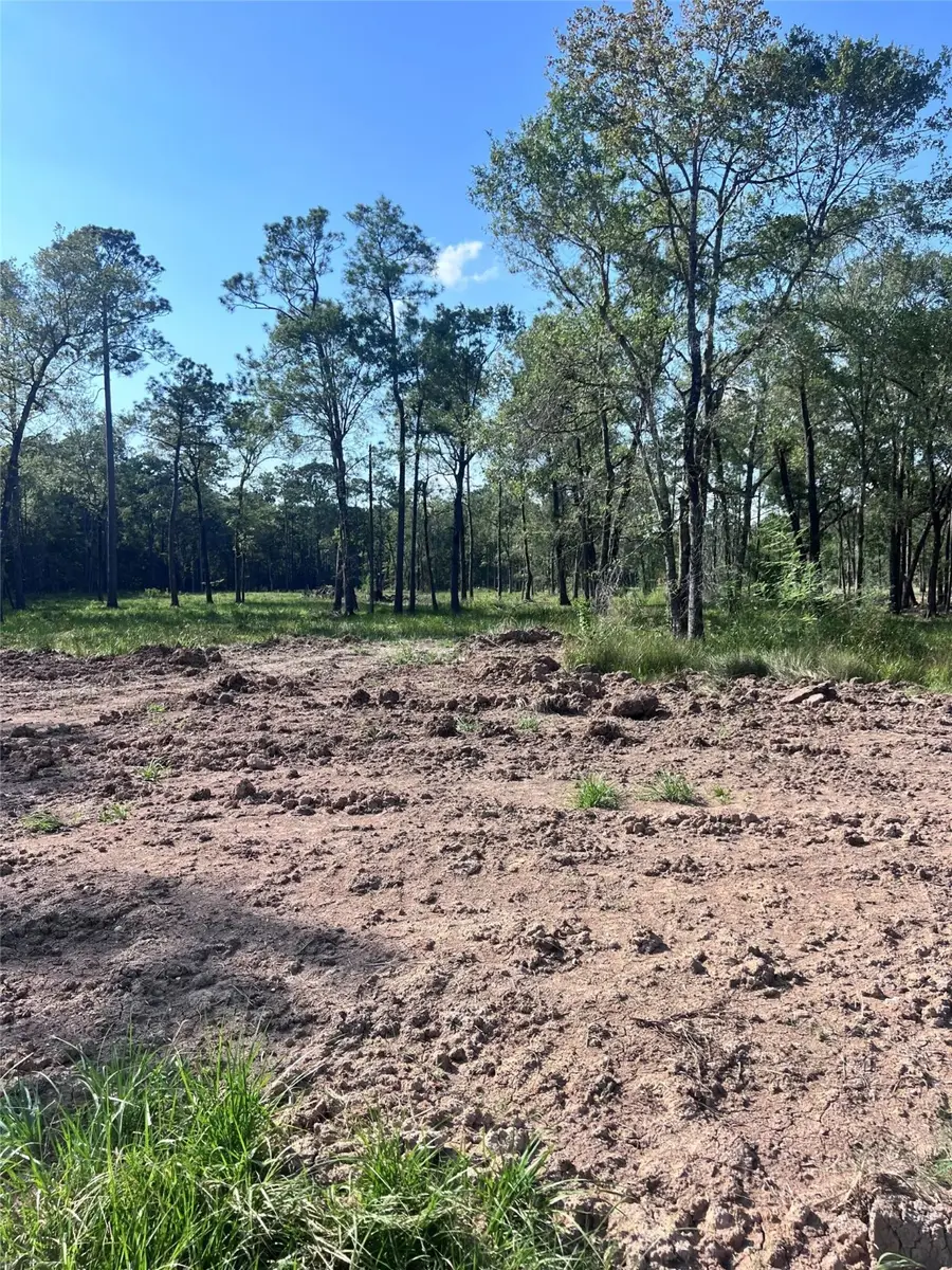 257 Rhonda Rosa Road, Wallisville, TX 77597 - Image #2