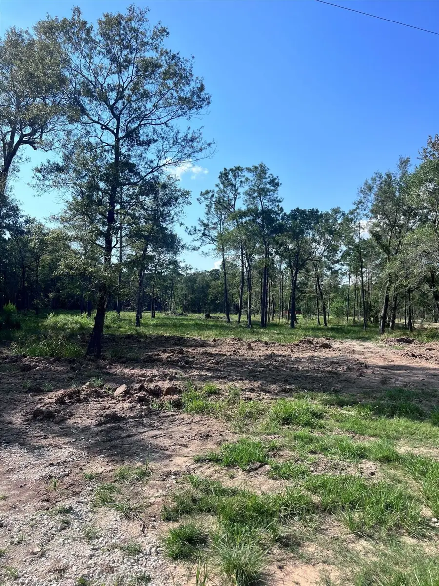 257 Rhonda Rosa Road, Wallisville, TX 77597 - Image #3