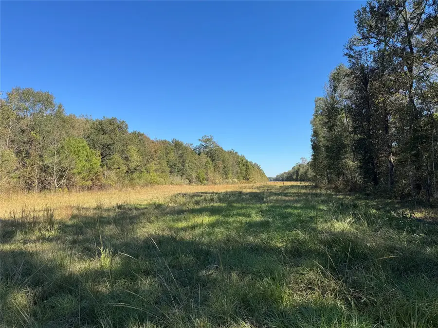 0 County Road 401, Dayton, TX 77535 - Image #3