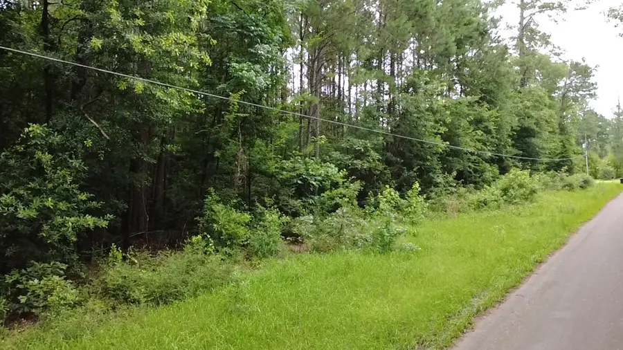 TBD County Road 2780, Colmesneil, TX 75938 - #3
