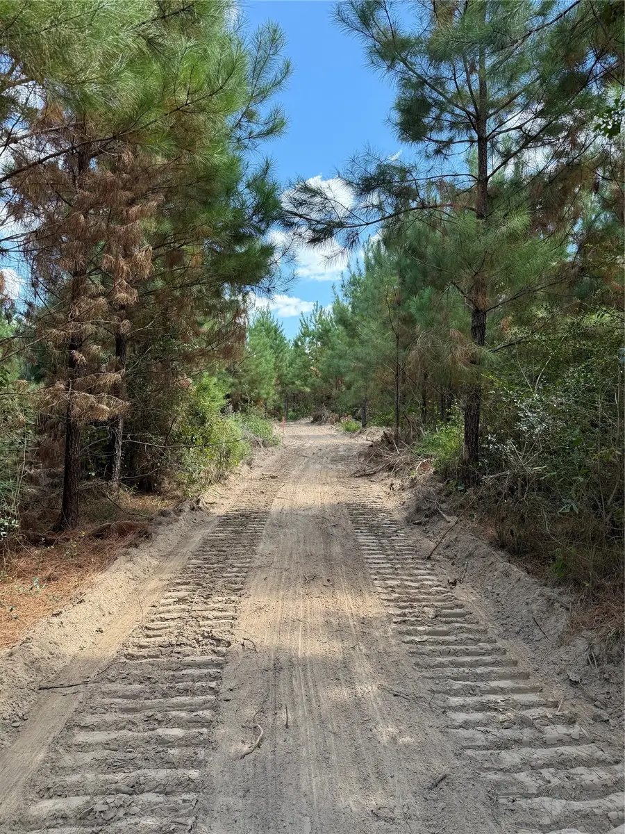 02 Bracewell Cemetery Road, Livingston, TX 77351 - #3