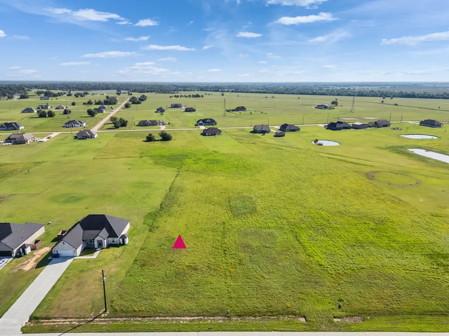 602 Longhorn Trail, Angleton, TX 77515 - #3