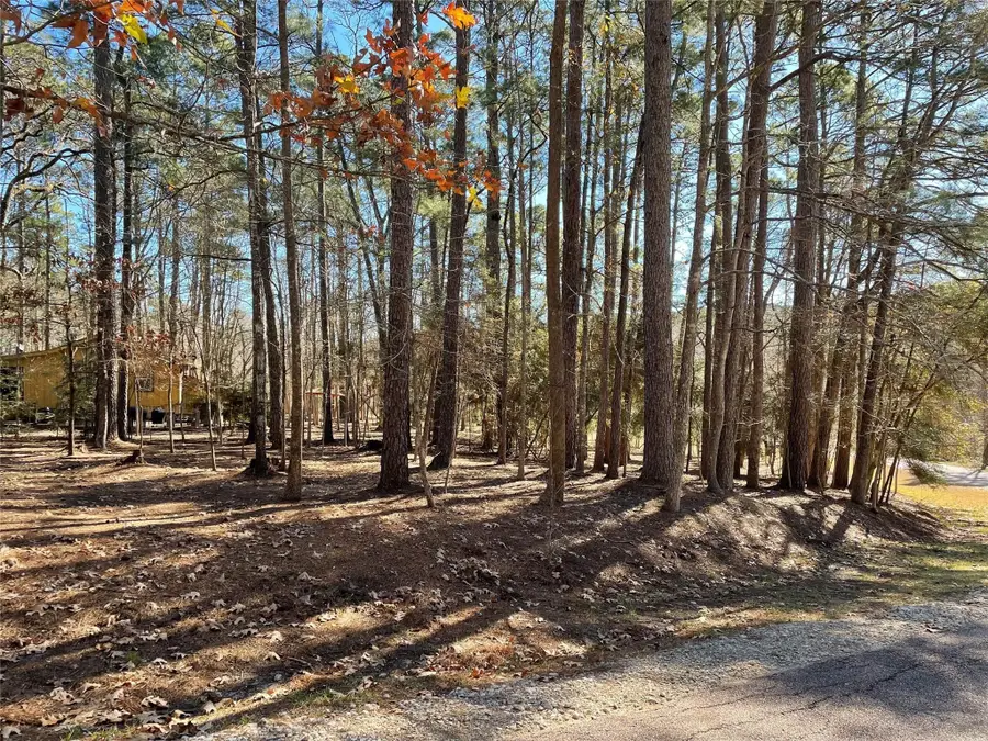 0 Cherry Hill Drive, Coldspring, TX 77331 - Image #3