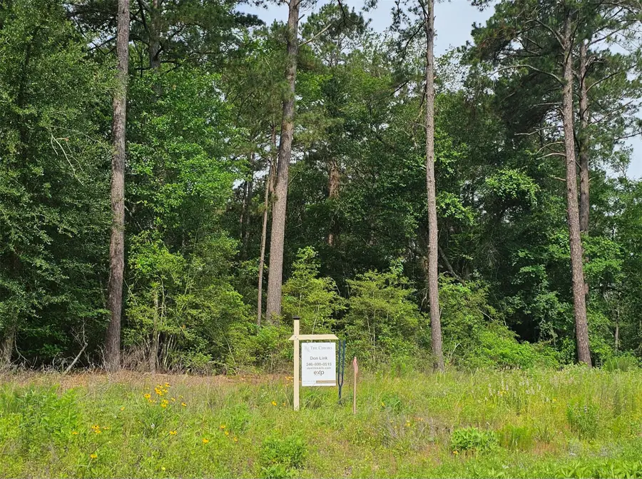 9164 Cedar Bend, Plantersville, TX 77363 - #2