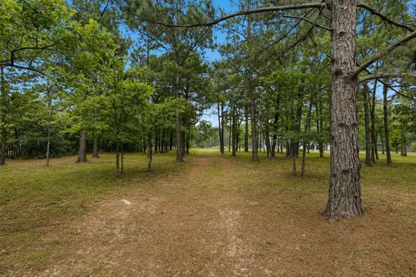 2302 Honea Egypt Road, Magnolia, TX 77354