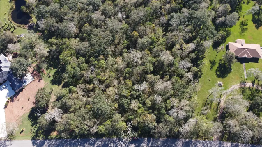 0 Squirrel Hollow Road, Damon, TX 77430 - Image #3