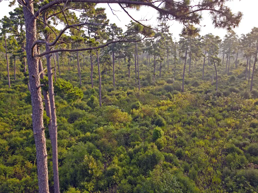 8301 State Highway 7 Highway E, Centerville, TX 75833 - #3