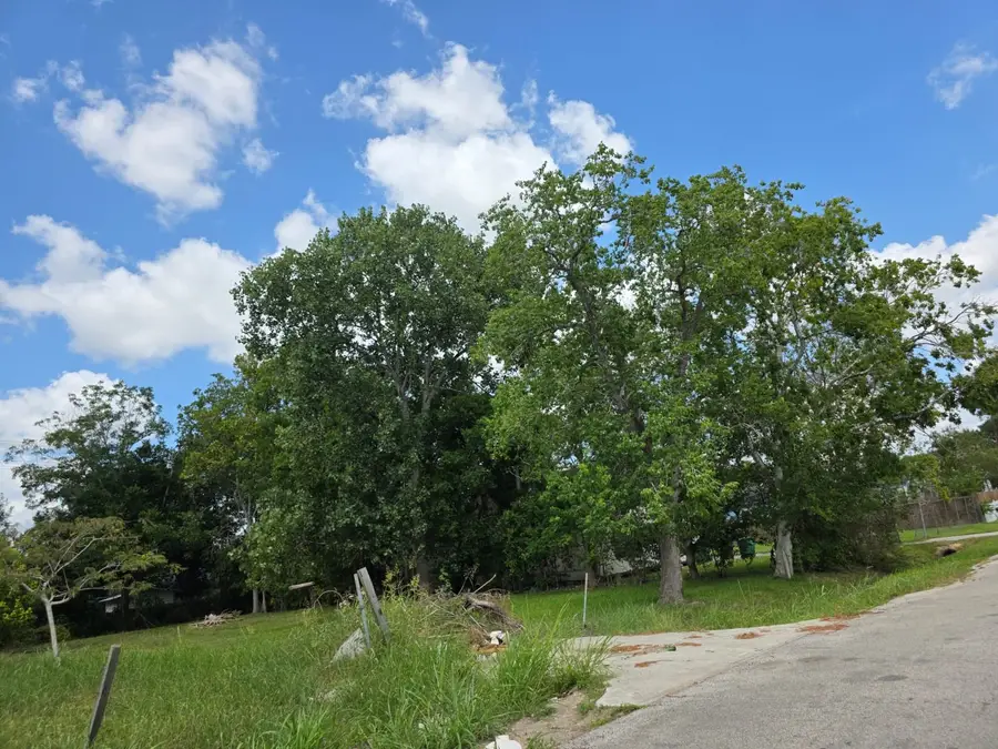 8914 Brandon Street, Houston, TX 77051 - #2