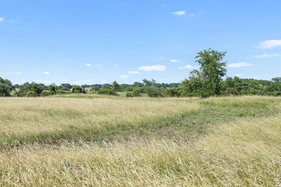TBD W Fm 1291 Tract 3, Round Top, TX 78954 - #2