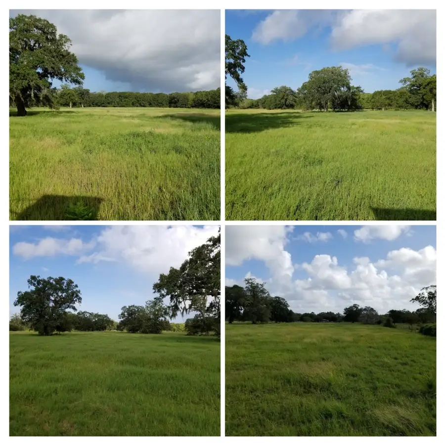 458 County Road 164, Cedar Lane, TX 77414 - #2
