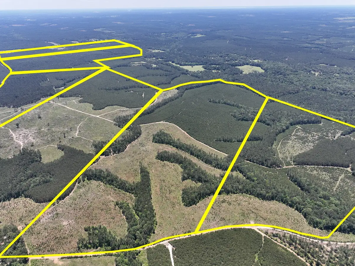 T-3 Union Springs Road, Corrigan, TX 75939 - #1