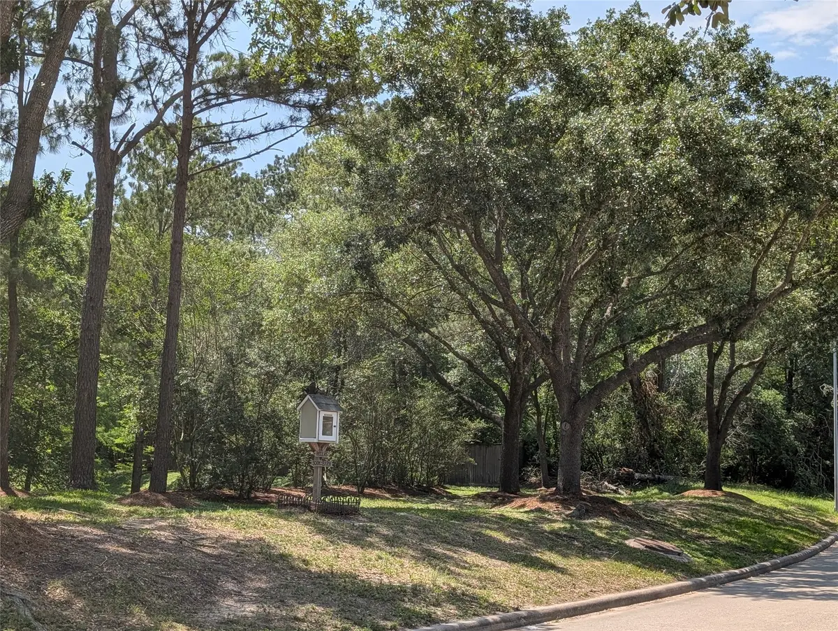 16103 Wimbledon Forest Drive, Spring, TX 77379 - #1