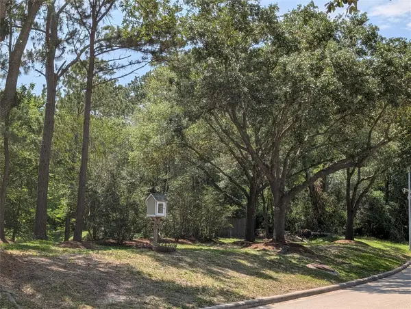 16103 Wimbledon Forest Drive, Spring, TX 77379