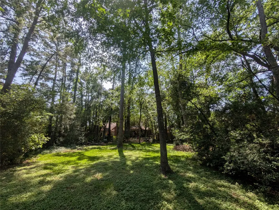 16103 Wimbledon Forest Drive, Spring, TX 77379 - #3
