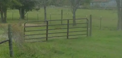 25216 Bedias Drive, Bedias, TX 77831 - Image #2