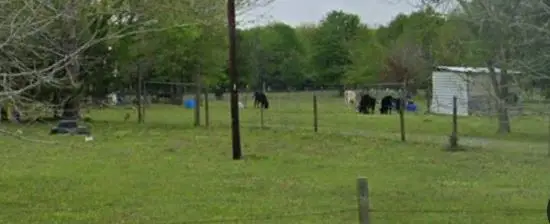 25216 Bedias Drive, Bedias, TX 77831 - Image #3