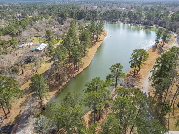 19701 W Lakeshore Drive, Magnolia, TX 77355