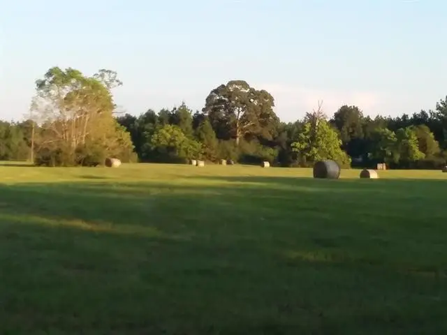 160 County Road 4472, Warren, TX 77664 - #1