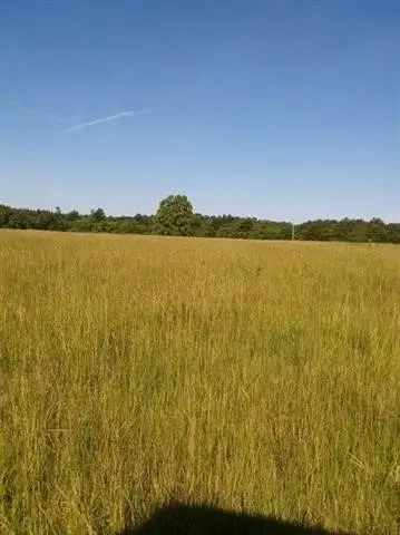 160 County Road 4472, Warren, TX 77664 - #3