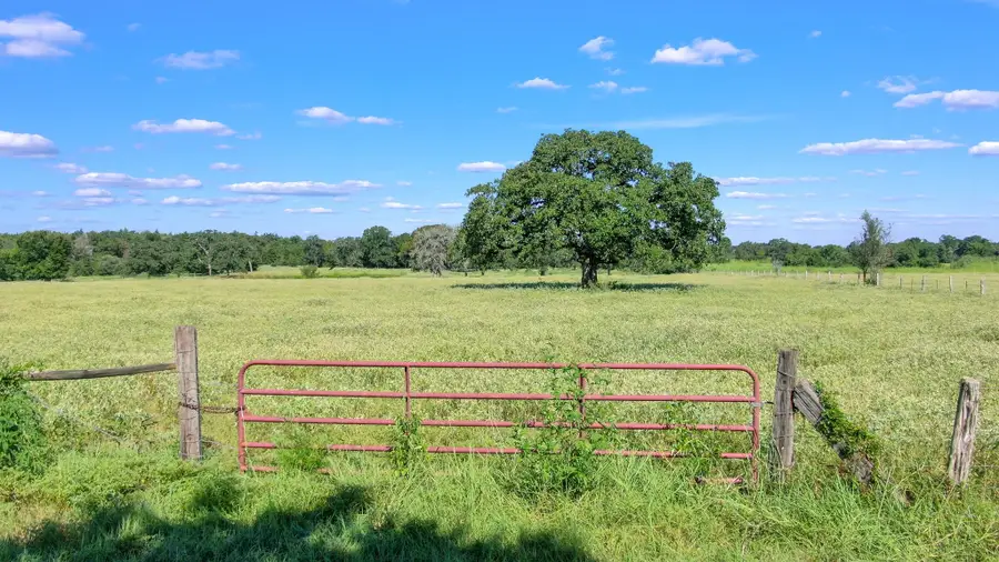 TBD Cr 227, Caldwell, TX 77836 - #2