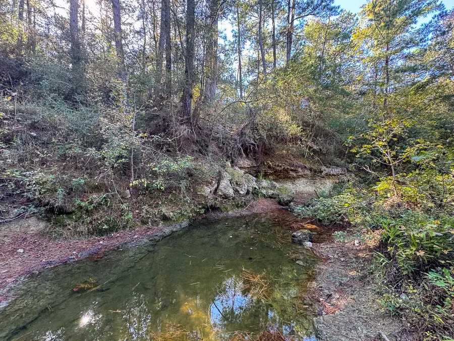 80 Rosenwall Road, Huntsville, TX 77320 - Image #3