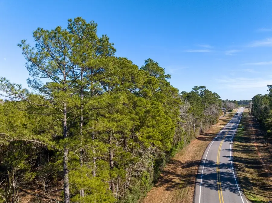 1 Fm 1725, Willis, TX 77378 - #2