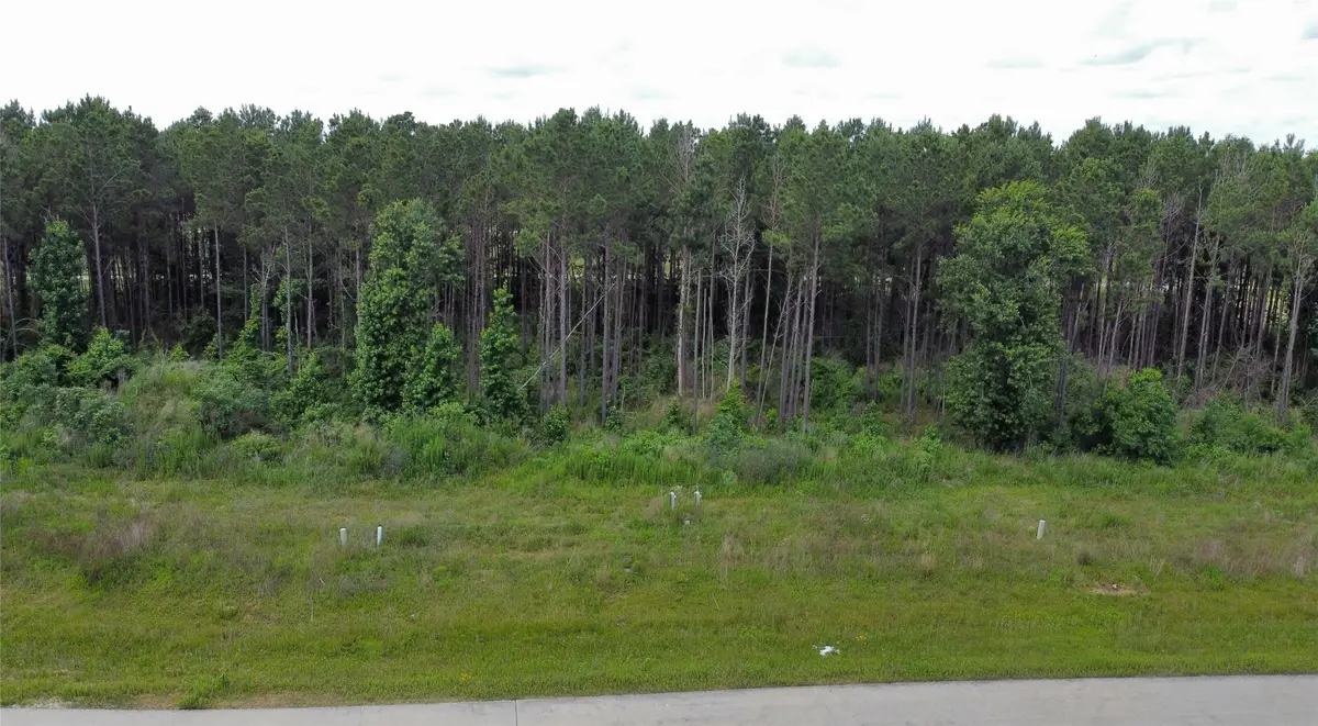 8040 Road 5895, Cleveland, TX 77327 - #1