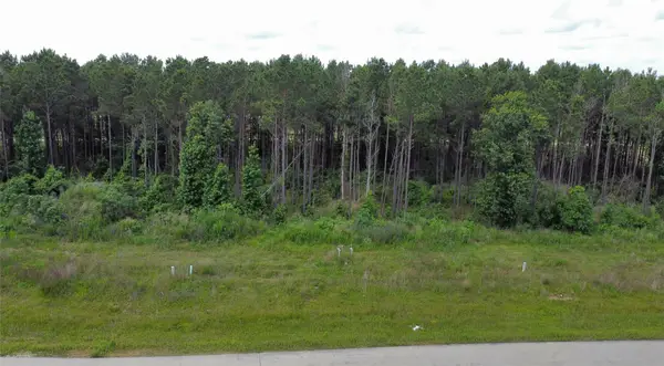 8040 Road 5895, Cleveland, TX 77327