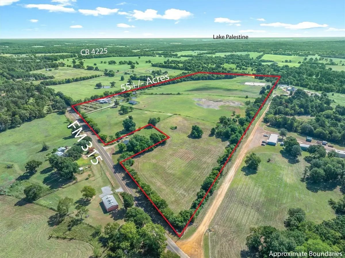 10815 Fm 315, Larue Poynor, TX 75763 - #1