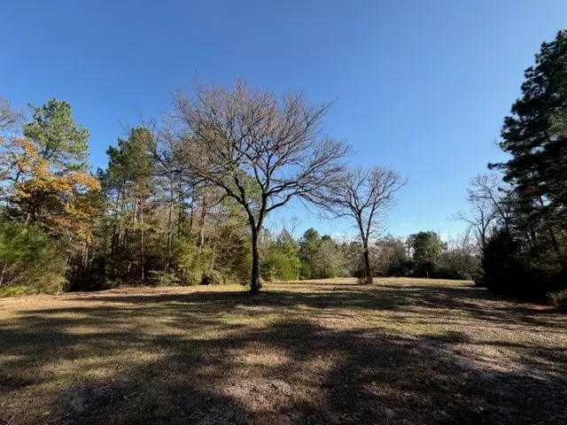 19 ac Pr 1429, Centerville, TX 75833 - Image #3