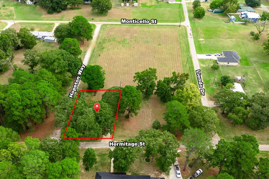0 Hermitage Street, Trinity, TX 75862 - #2
