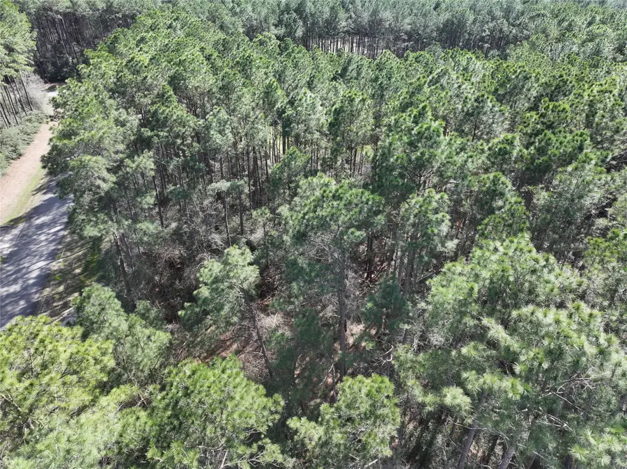 17424 Woodforest Dr, Waller, TX 77484 - #2