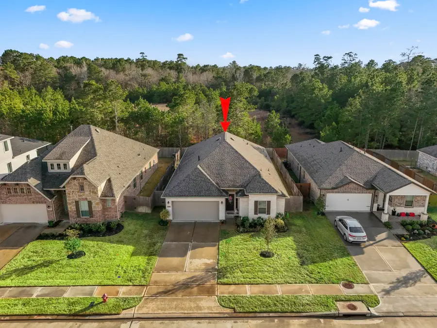 30391 Limber Pines Drive, Magnolia, TX 77355 - #2
