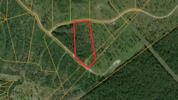 Lot 10 Eagle Falls Boulevard, Trinity, TX 75862