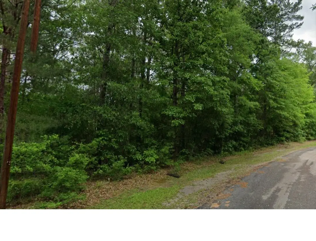 000 County Road 071, Jasper, TX 75951 - Image #1