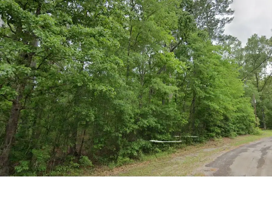 000 County Road 071, Jasper, TX 75951 - Image #2