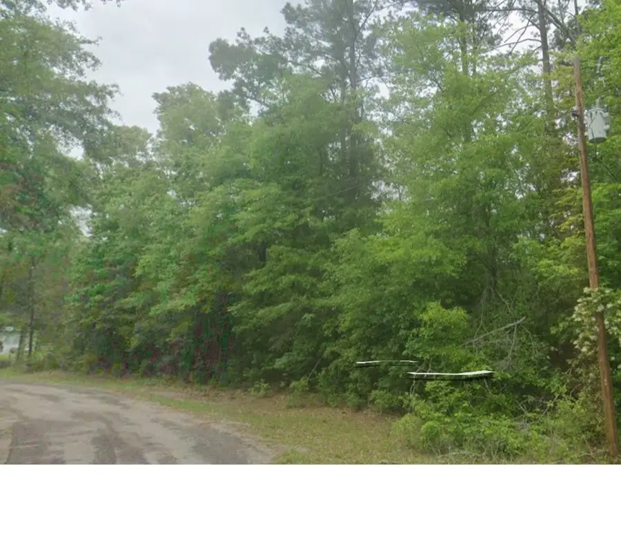 000 County Road 071, Jasper, TX 75951 - Image #3