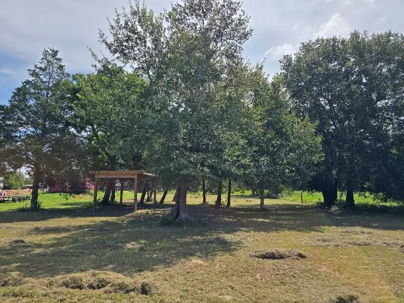 20714 Pearl Street, Prairie View, TX 77484 - #1