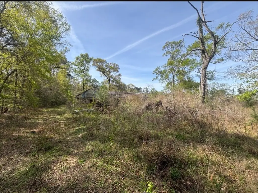 19014 Deer Glen Drive, Conroe, TX 77302 - #1