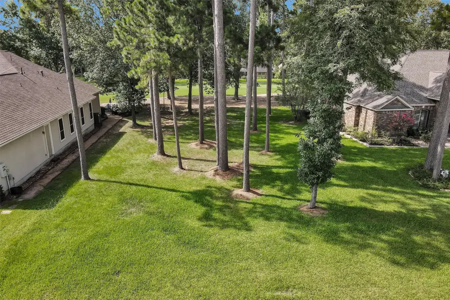 19 Grey Moss Lane, Montgomery, TX 77356 - #3