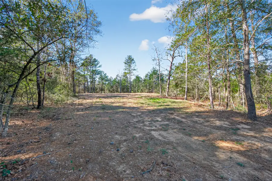 7629 Trinity Pines Drive, Montgomery, TX 77316 - #3