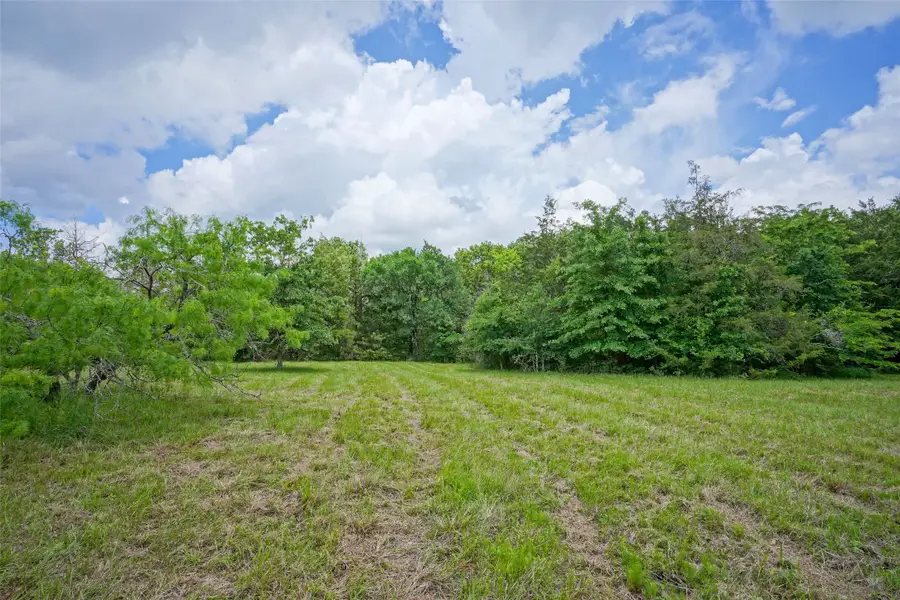 2905 Lee Ln, Bedias, TX 77831 - #3