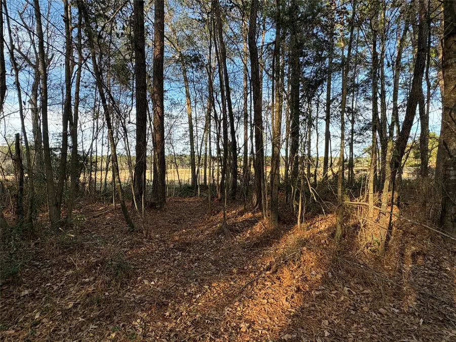 TBD S Moody Lane, Cleveland, TX 77328 - #2