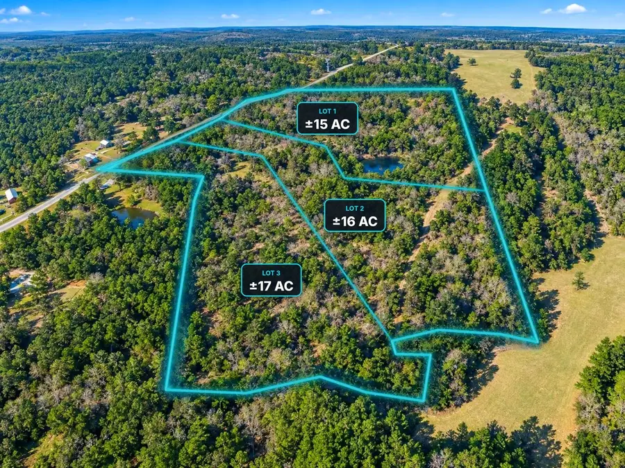 TBD Lot 001 Holland Road, Moscow, TX 75960 - #2